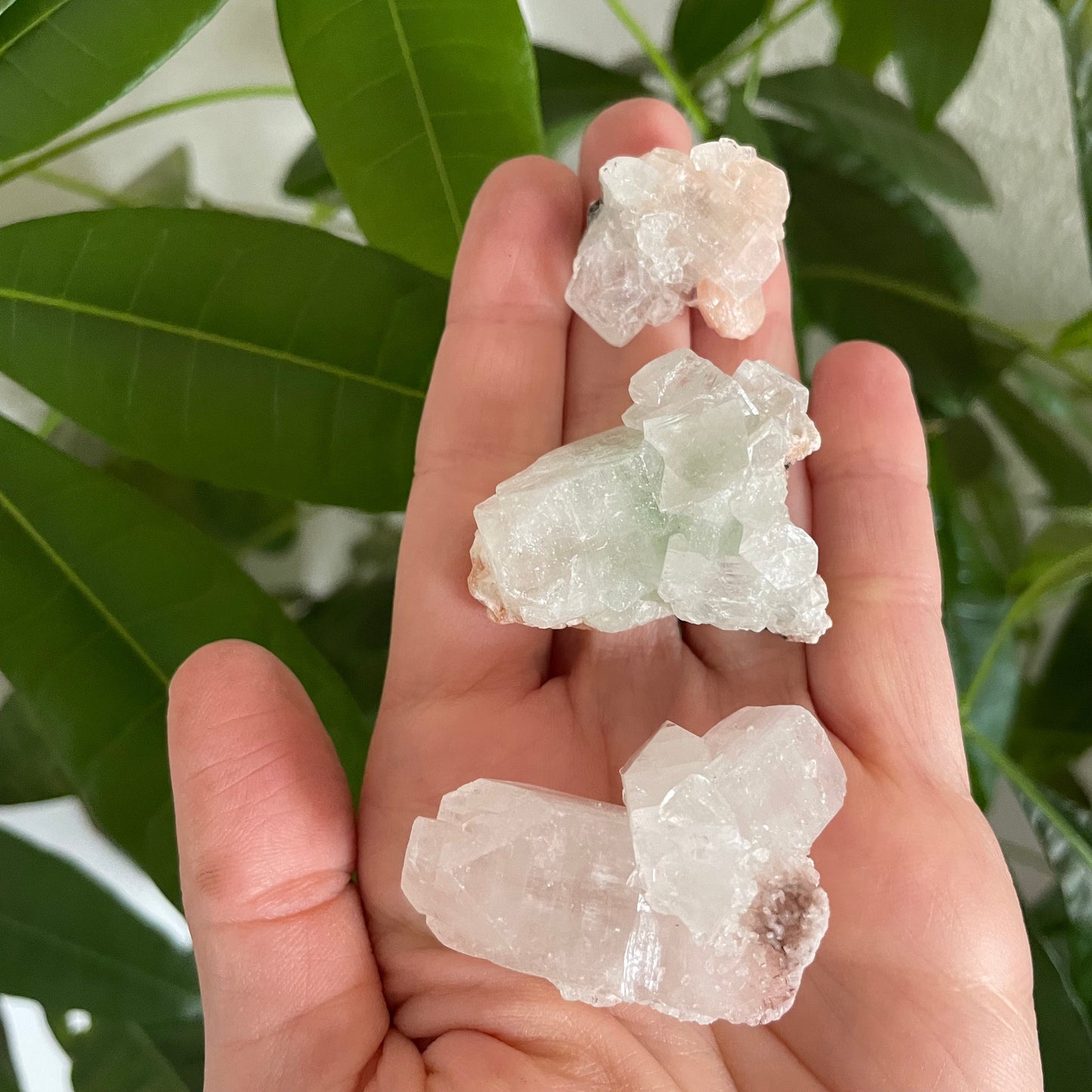 Zeolite Cluster - Apophyllite Cluster - Stilbite Cluster from India - Natural Crystal Cluster, Various Sizes 1-2 inches - Unique Gifts