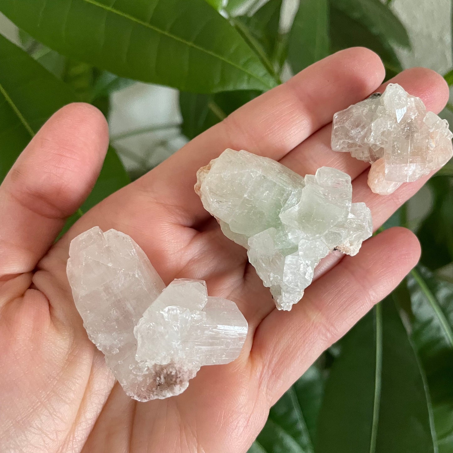 Zeolite Cluster - Apophyllite Cluster - Stilbite Cluster from India - Natural Crystal Cluster, Various Sizes 1-2 inches - Unique Gifts