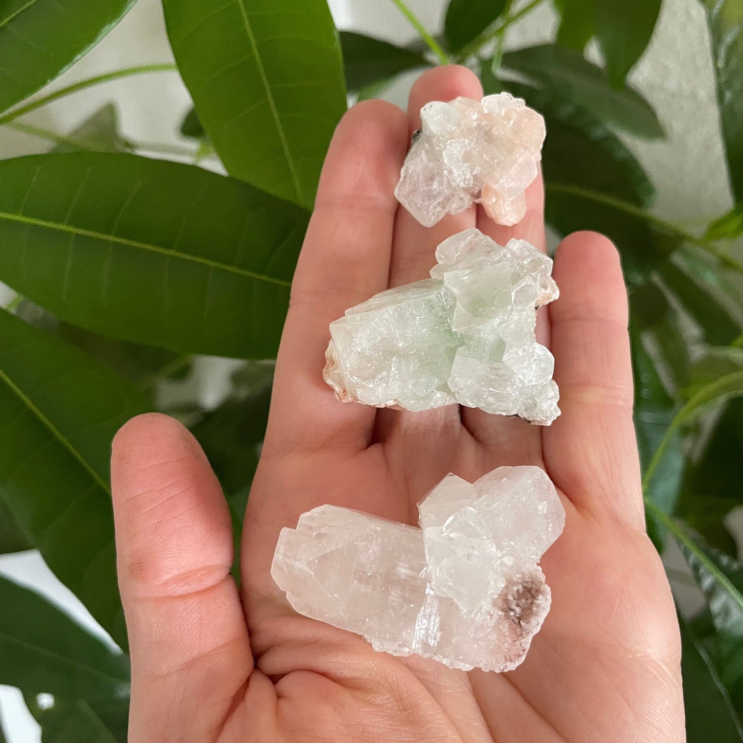 Zeolite Cluster - Apophyllite Cluster - Stilbite Cluster from India - Natural Crystal Cluster, Various Sizes 1-2 inches - Unique Gifts