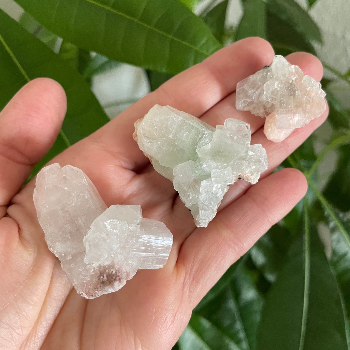 Zeolite Cluster - Apophyllite Cluster - Stilbite Cluster from India - Natural Crystal Cluster, Various Sizes 1-2 inches - Unique Gifts