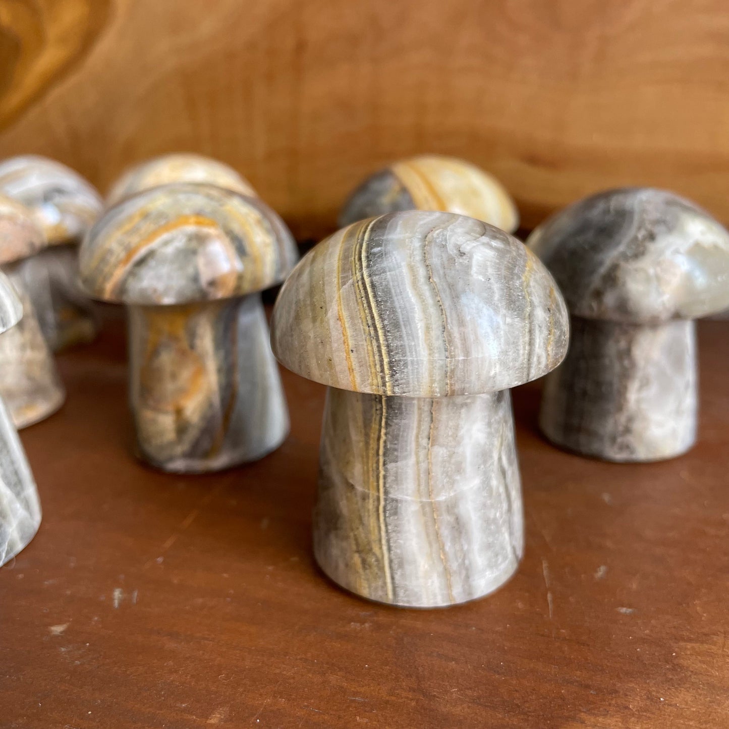Connect with the earthy vibes of Zebra Calcite through our Mushroom. Its unique banding, reminiscent of a zebra's stripes, makes it a captivating addition to your crystal collection.