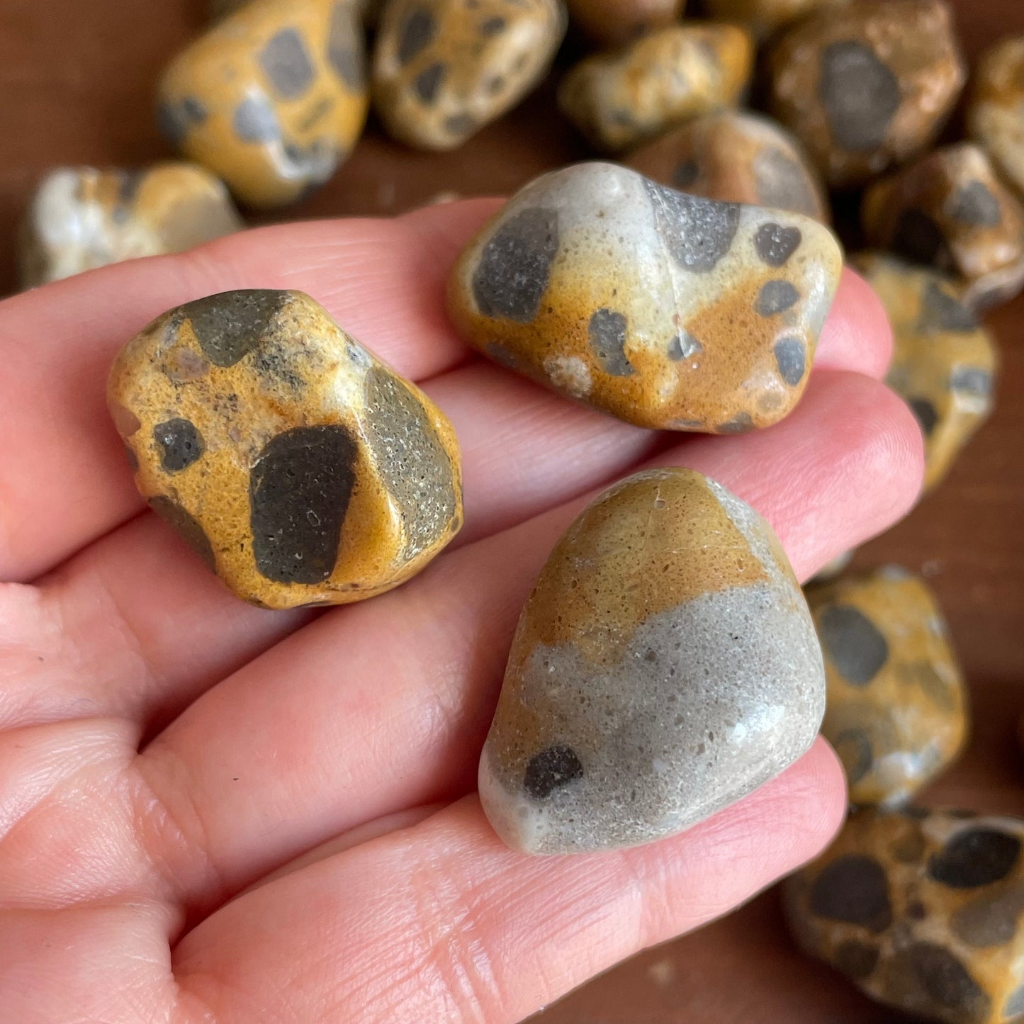 Showcase the intricate spotted patterns of our Tumbled Leopardskin Jasper. Admire the unique markings that make each stone a one-of-a-kind treasure from the earth.