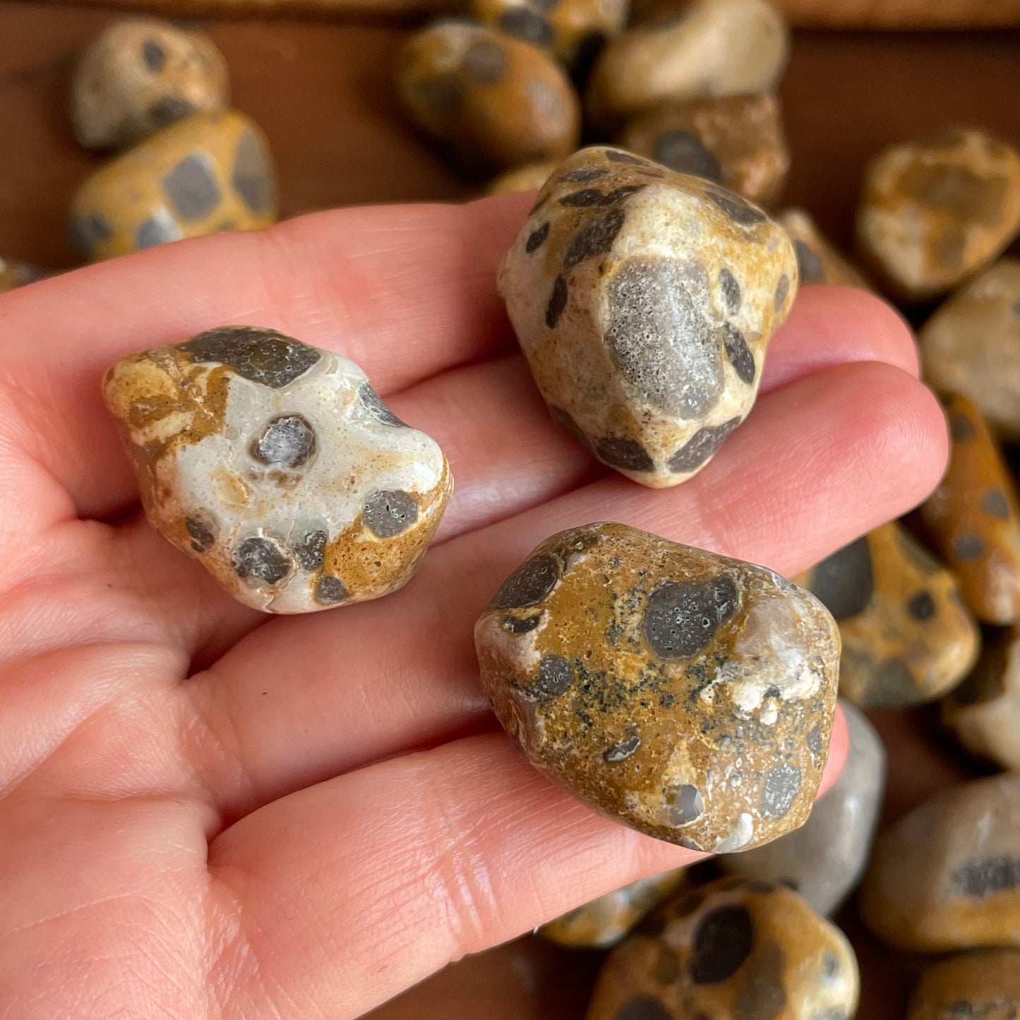 Zoom in on the natural artistry of our Tumbled Leopardskin Jasper. Marvel at the intricate details that reflect the earth's creative brilliance.