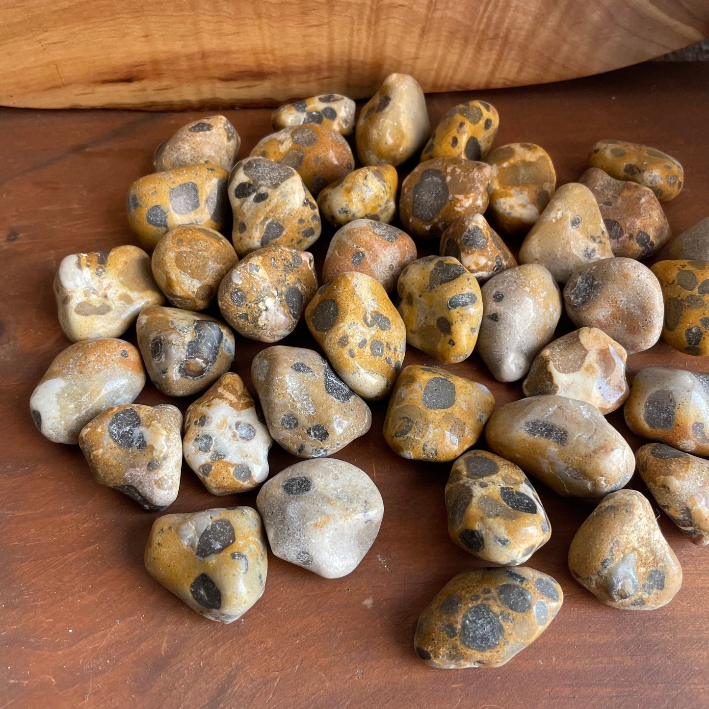 Delight in the tan, beige, and gray hues of our Tumbled Leopardskin Jasper. Feel the grounding energy emanating from each stone as you immerse yourself in their tranquil beauty.