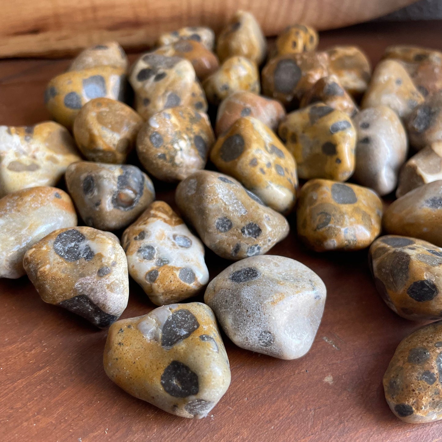 Discover the harmonious blend of gray and beige in our Tumbled Leopardskin Jasper. Feel the calming energy radiating from each stone as they invite tranquility into your space.