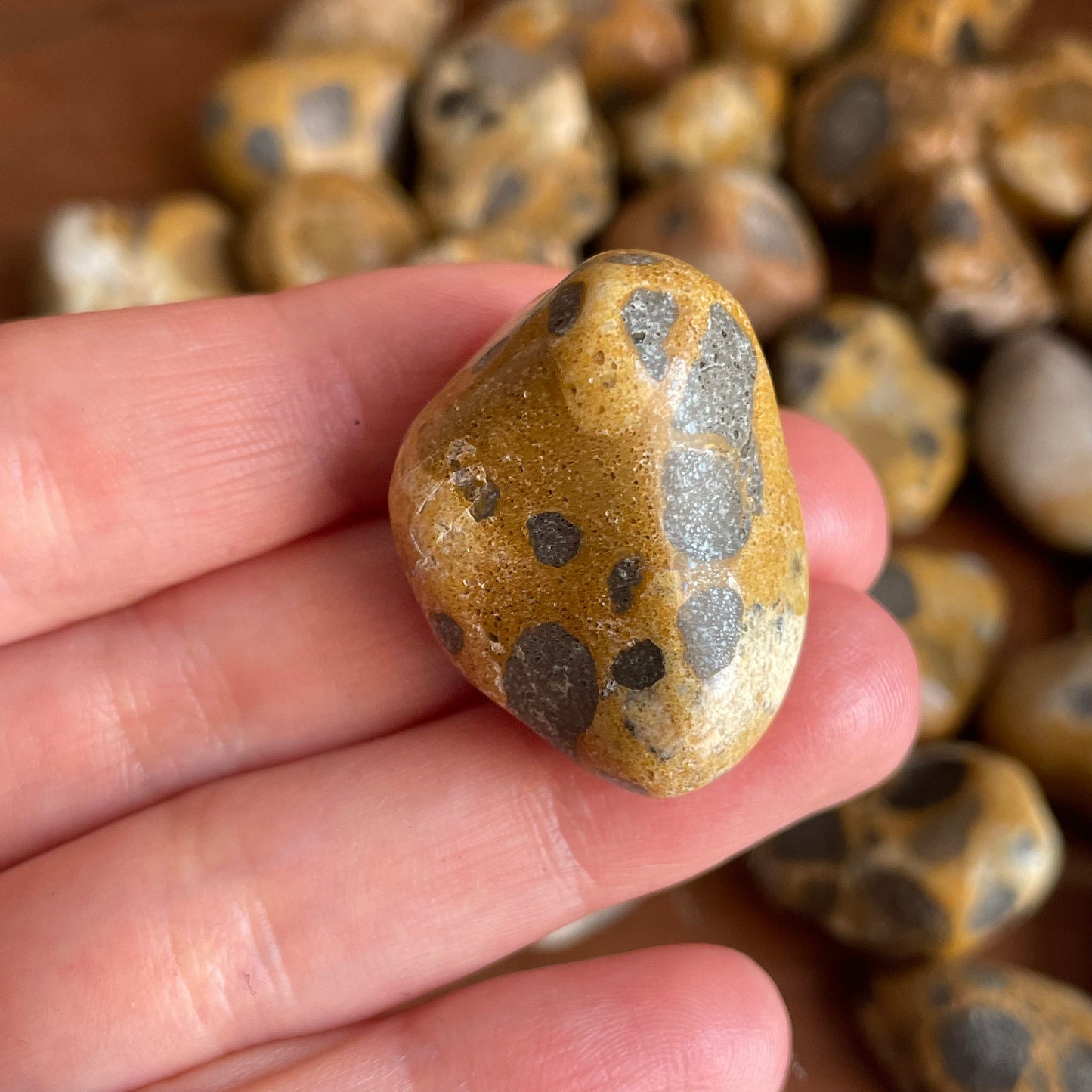 Admire the earthy elegance of our Tumbled Leopardskin Jasper up close. Let the natural beauty of these stones inspire a sense of connection to the natural world.