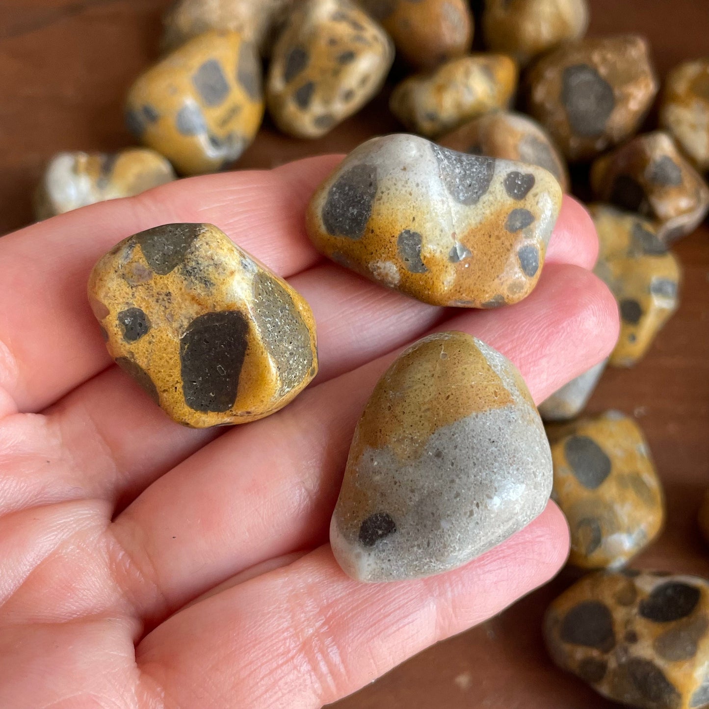 Get up close and personal with the natural beauty of our Tumbled Leopardskin Jasper. Each stone boasts unique spotted patterns in varying hues, showcasing the earth's exquisite artistry.