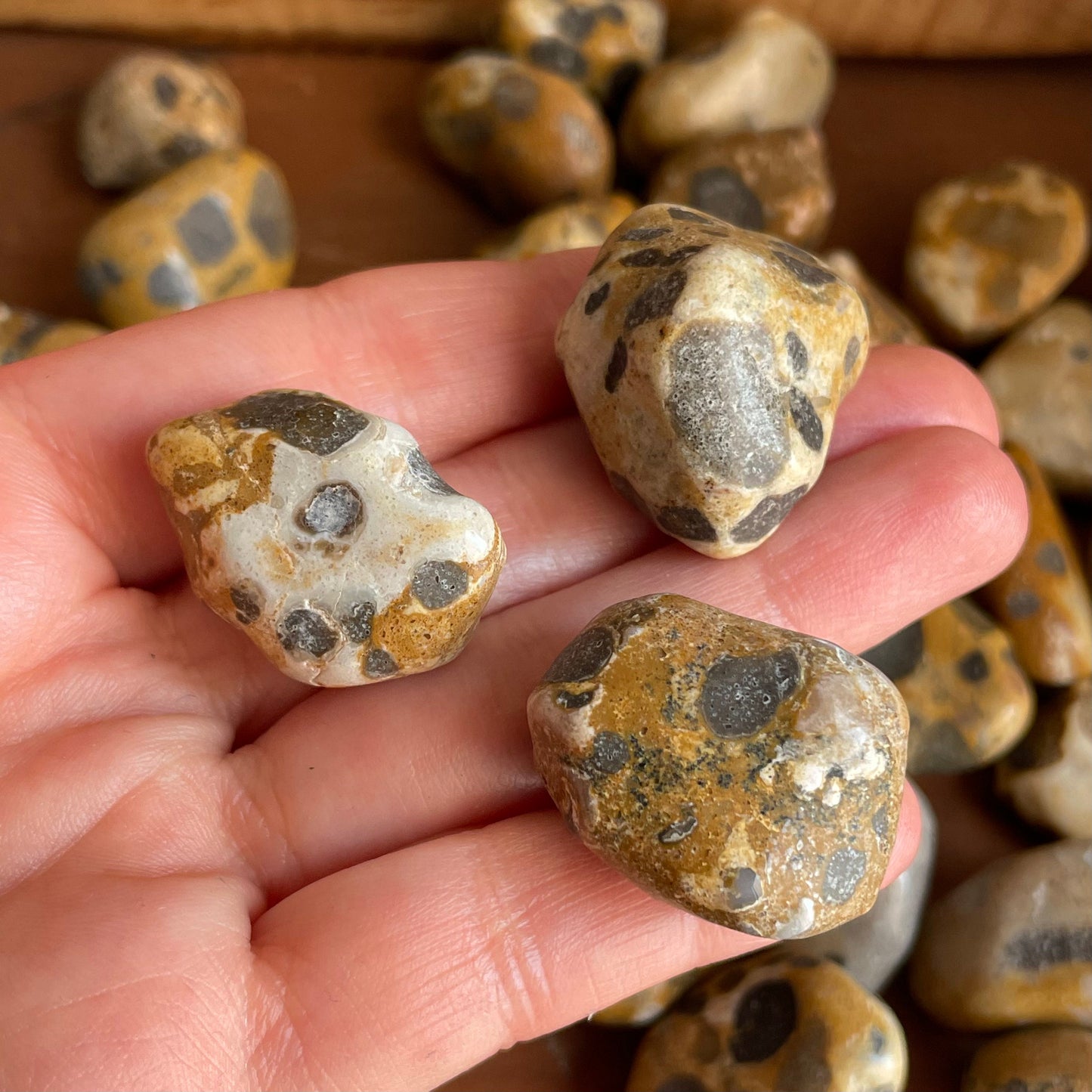 Display the organic elegance of our Tumbled Leopardskin Jasper. Arrange these stones on your altar or display shelf to infuse your space with natural charm.